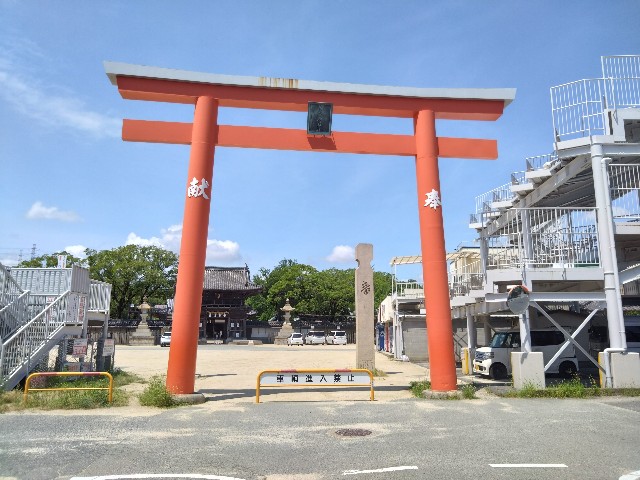 f:id:wakudokihappy:20230815180213j:image f:id:wakudokihappy:20230815180213j:image