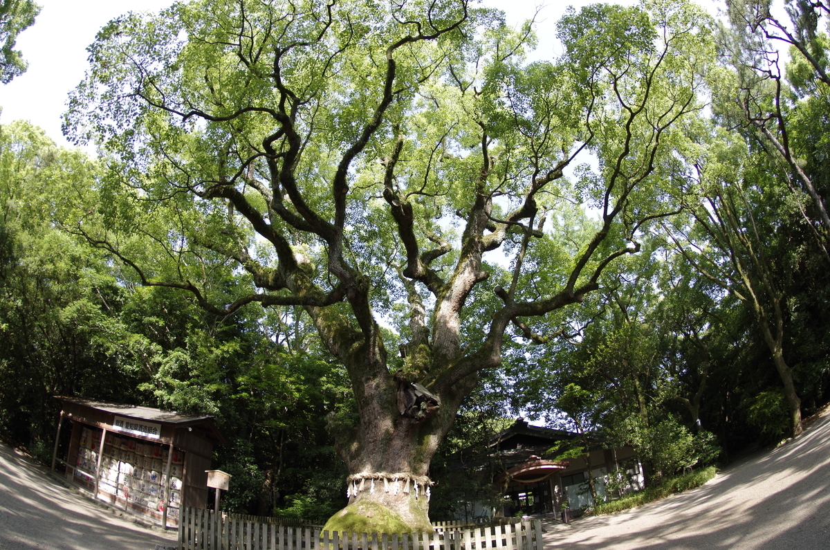 f:id:wakuraba01:20200726012308j:plain