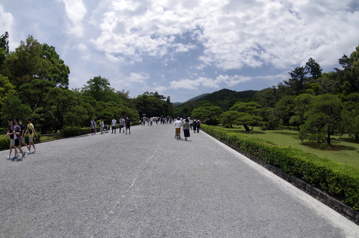 f:id:wakuraba01:20200726015624j:plain