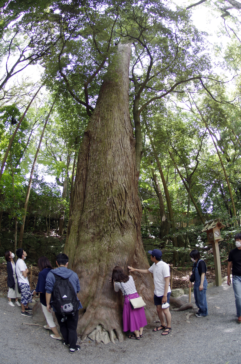 f:id:wakuraba01:20200726021108j:plain