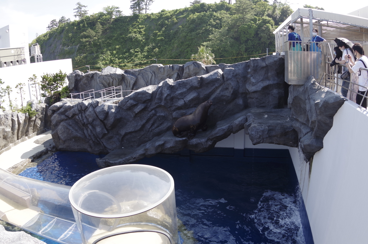 f:id:wakuraba01:20200726022823j:plain