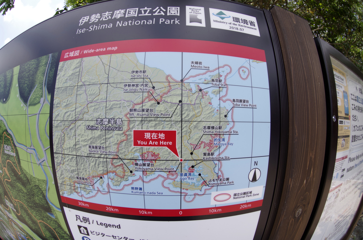 f:id:wakuraba01:20200727001738j:plain f:id:wakuraba01:20200727001738j:plain
