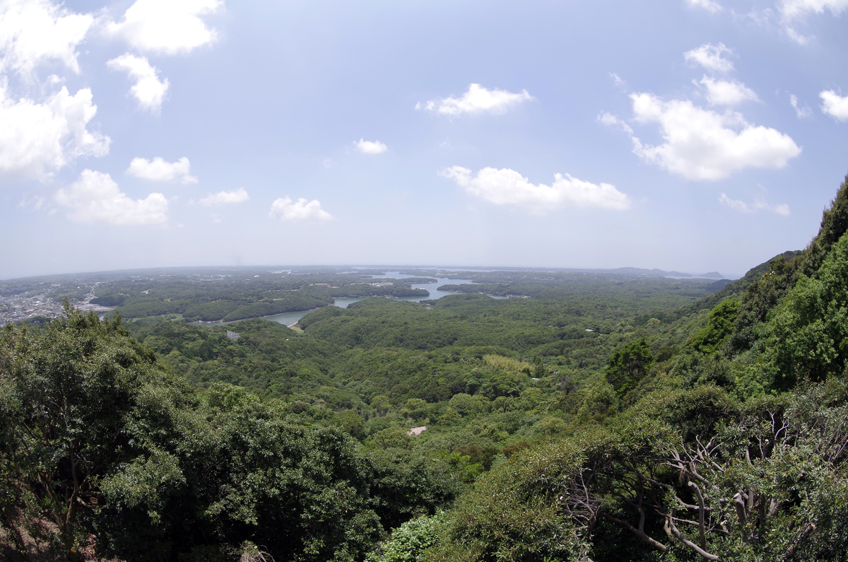 f:id:wakuraba01:20200727001946j:plain f:id:wakuraba01:20200727001946j:plain
