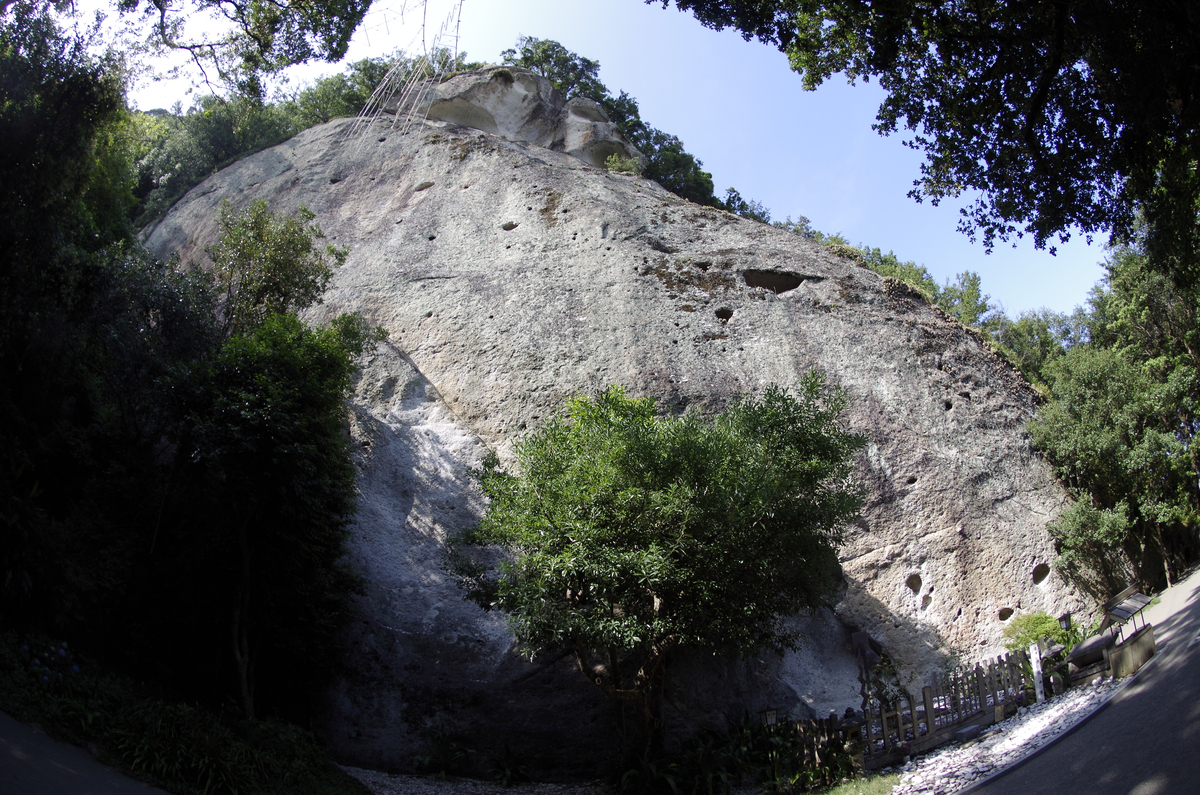 f:id:wakuraba01:20200727011504j:plain f:id:wakuraba01:20200727011504j:plain
