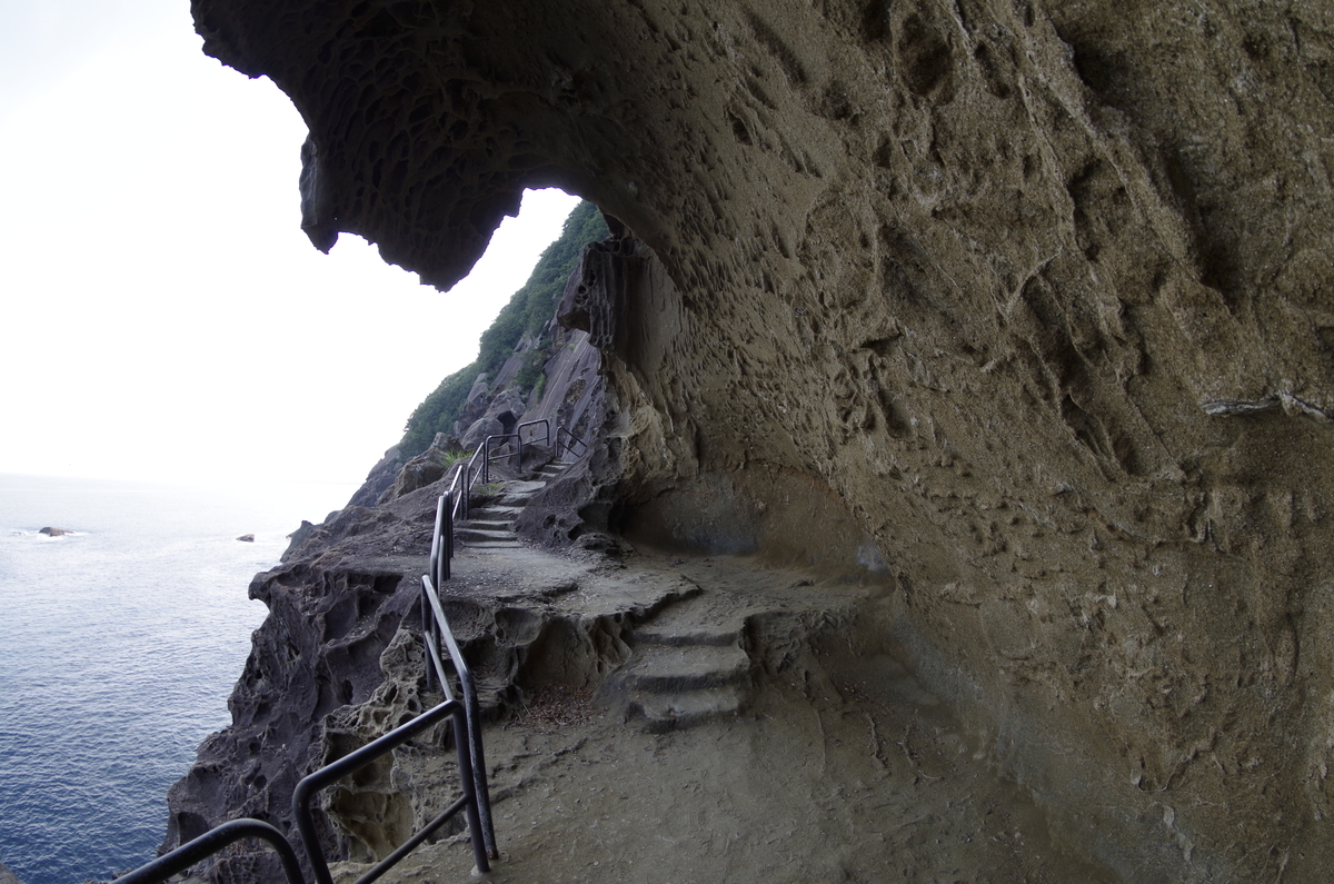 f:id:wakuraba01:20200727012648j:plain f:id:wakuraba01:20200727012648j:plain