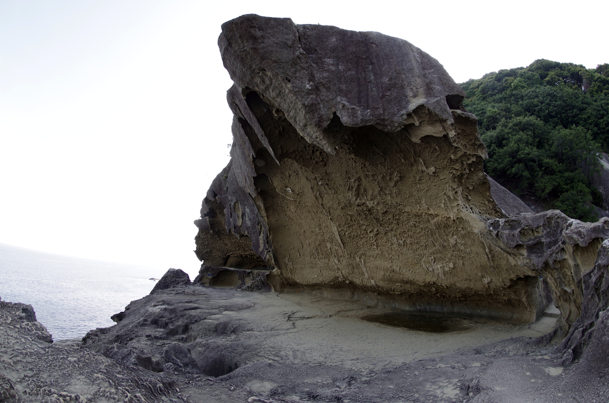 f:id:wakuraba01:20200727012751j:plain f:id:wakuraba01:20200727012751j:plain