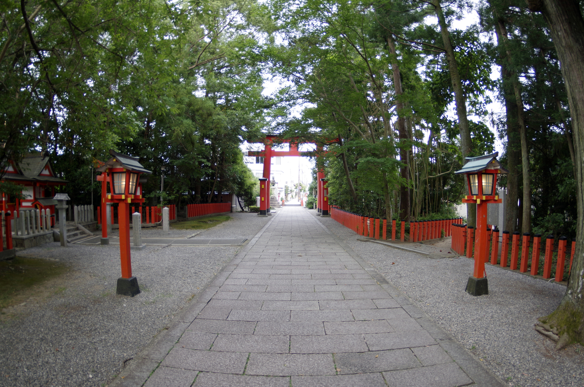 f:id:wakuraba01:20200727015531j:plain f:id:wakuraba01:20200727015531j:plain