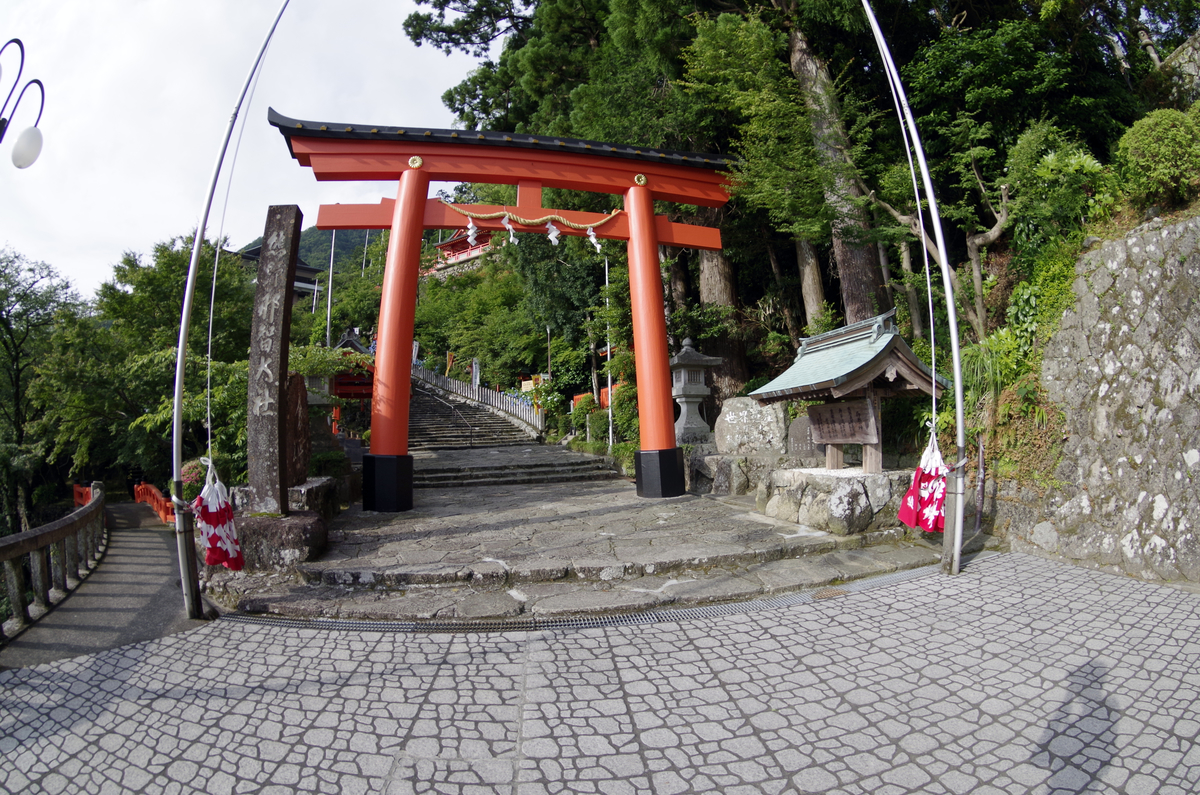 f:id:wakuraba01:20200823002645j:plain