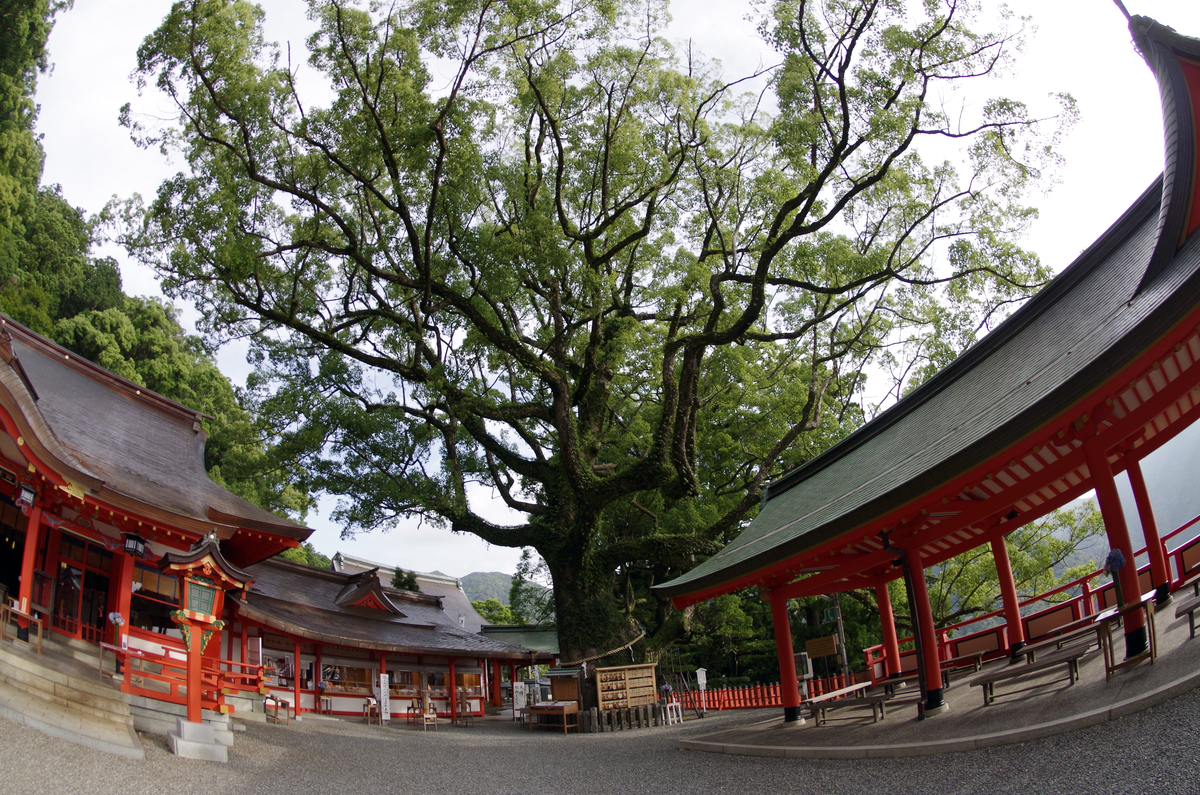 f:id:wakuraba01:20200823002953j:plain