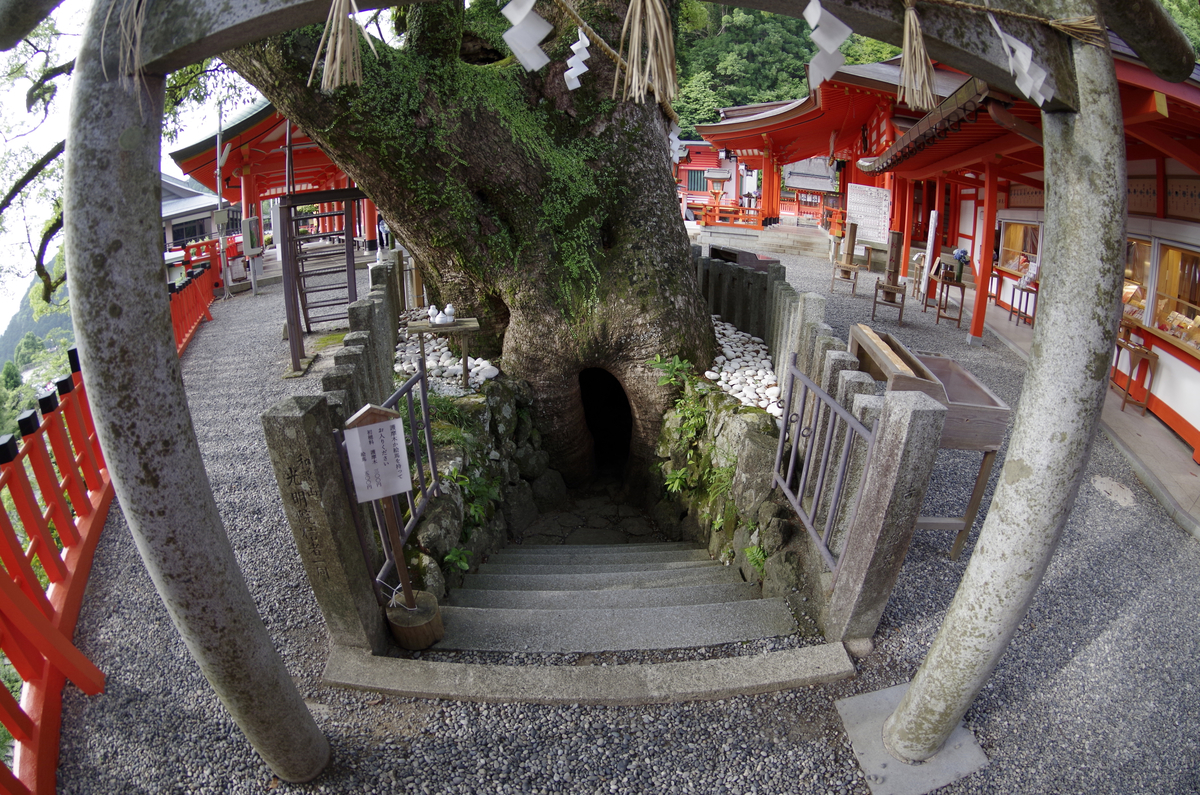 f:id:wakuraba01:20200823003104j:plain