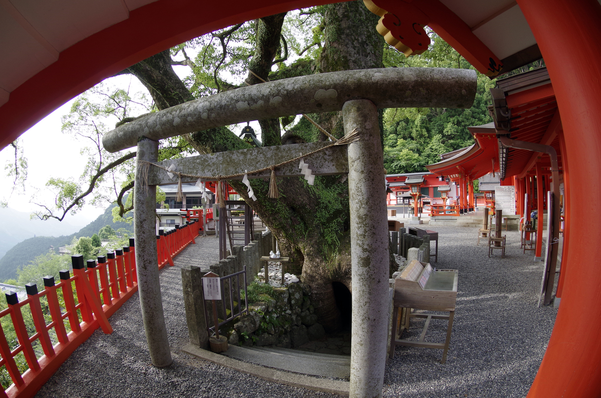 f:id:wakuraba01:20200823003150j:plain