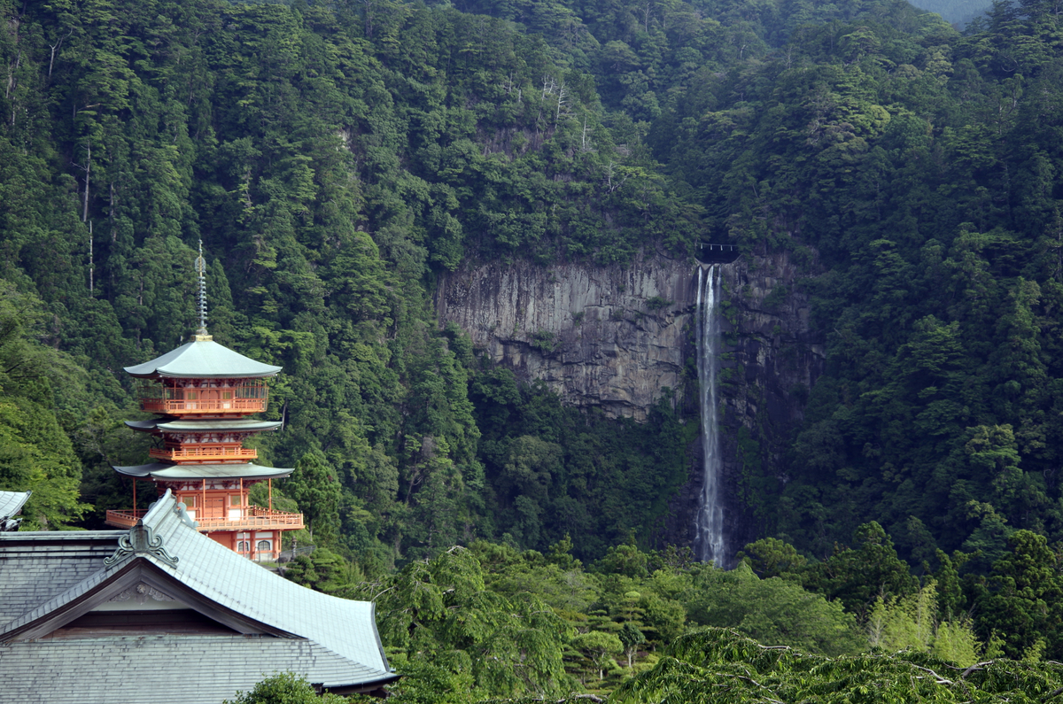 f:id:wakuraba01:20200823003539j:plain