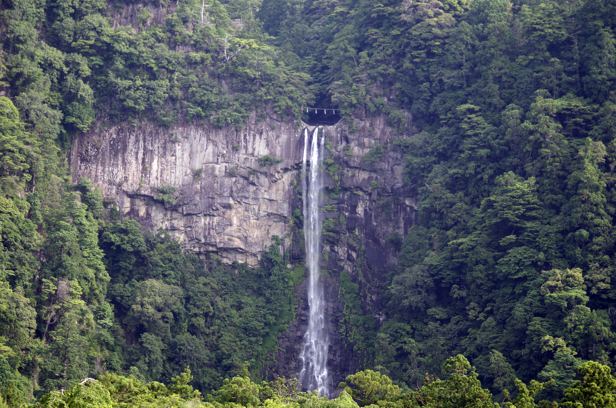 f:id:wakuraba01:20200823003543j:plain
