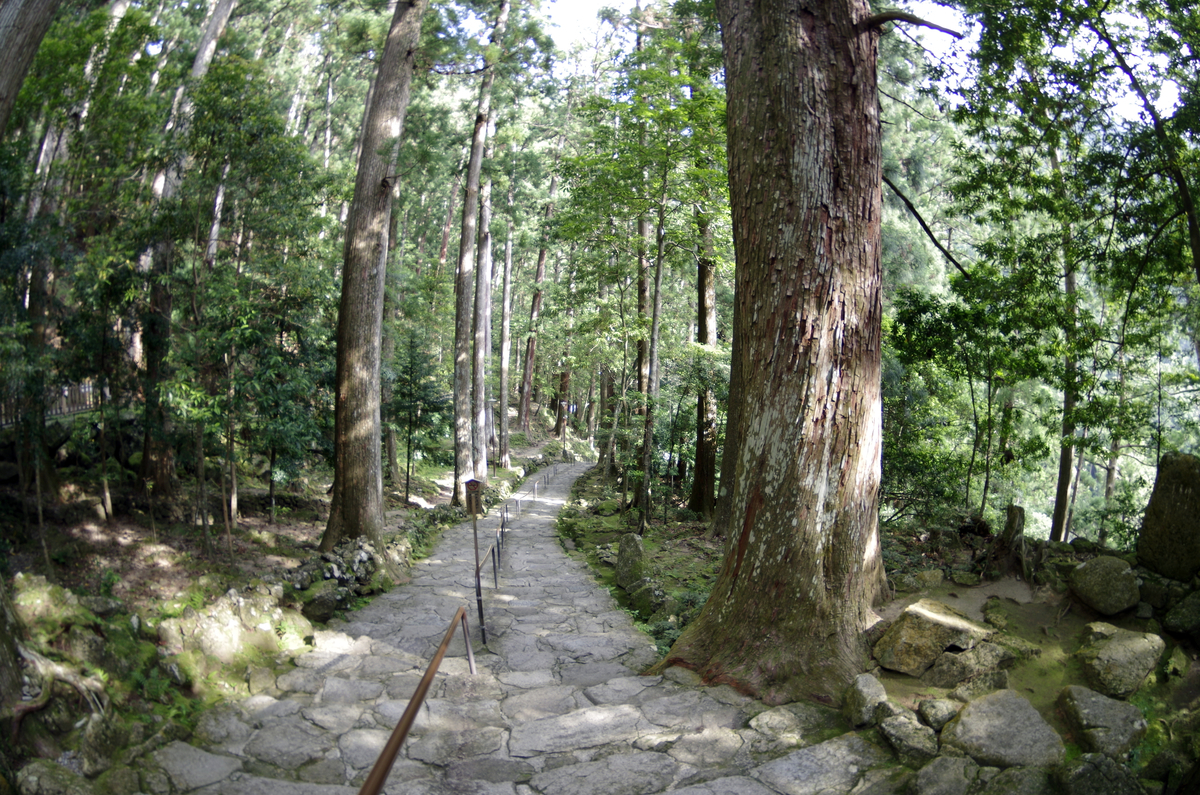 f:id:wakuraba01:20200823003926j:plain