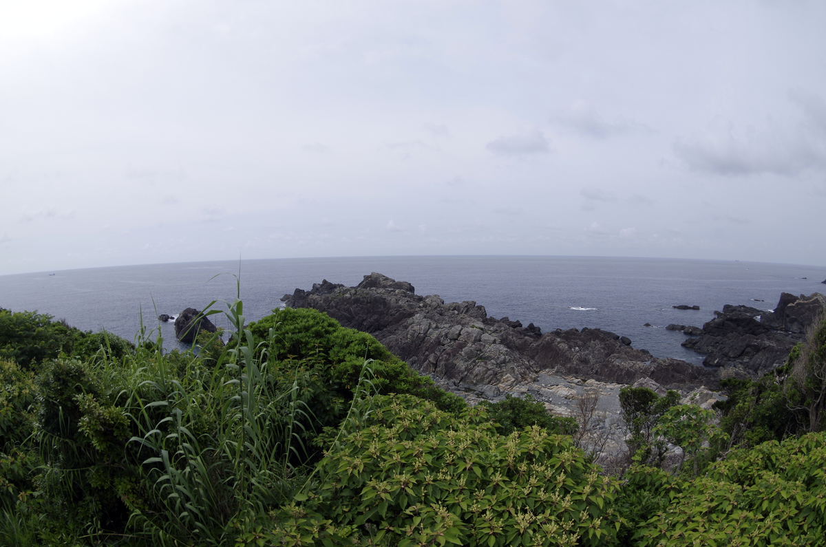 f:id:wakuraba01:20200823004750j:plain