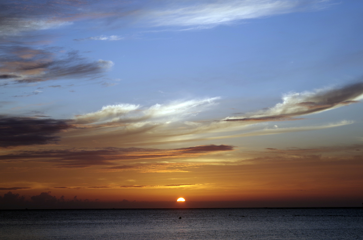 f:id:wakuraba01:20200823023709j:plain