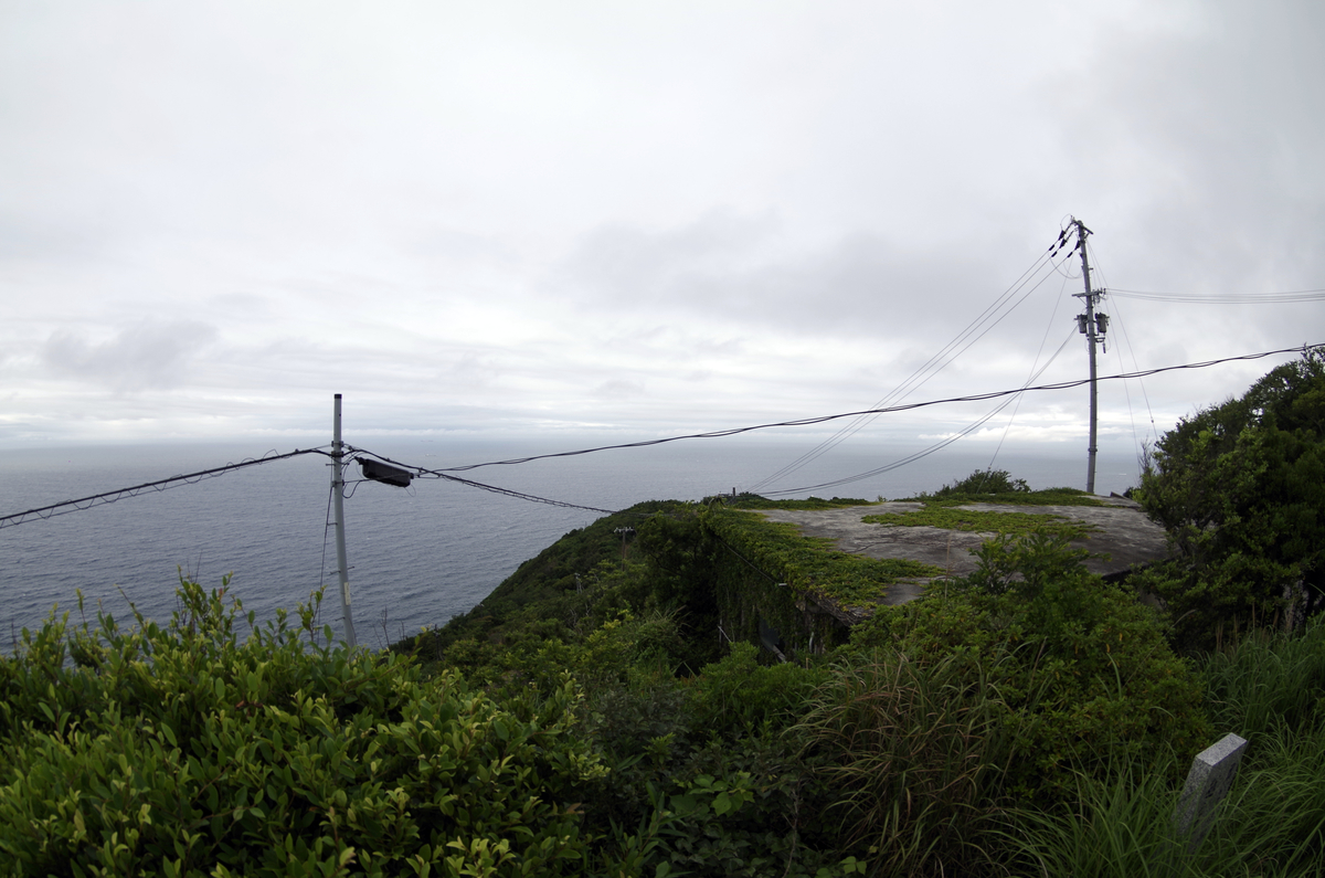f:id:wakuraba01:20210129153917j:plain