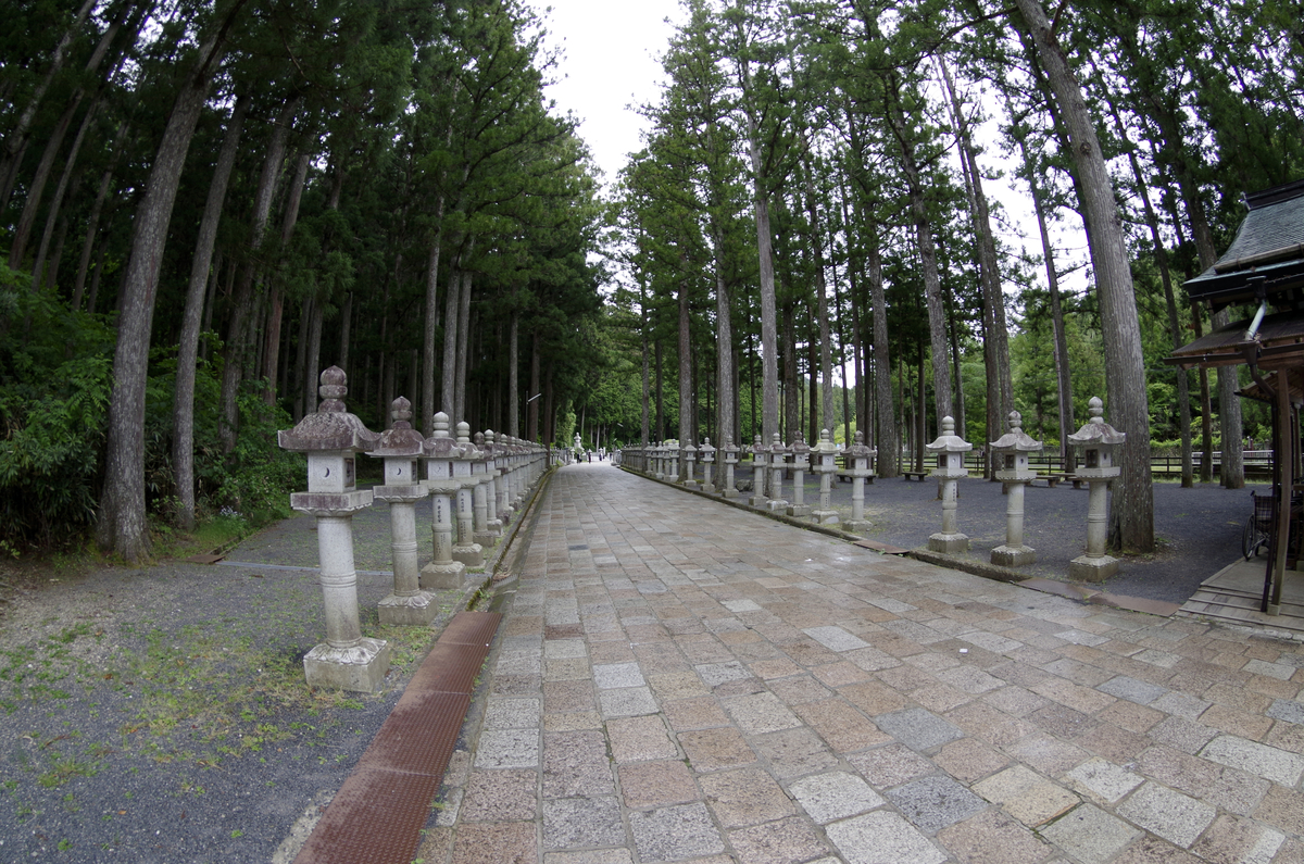 f:id:wakuraba01:20210129155527j:plain