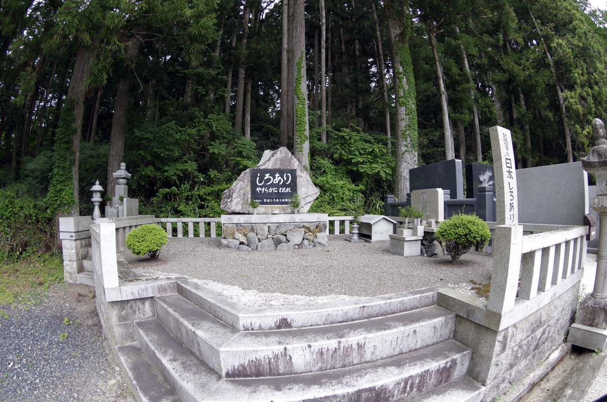 f:id:wakuraba01:20210129155550j:plain
