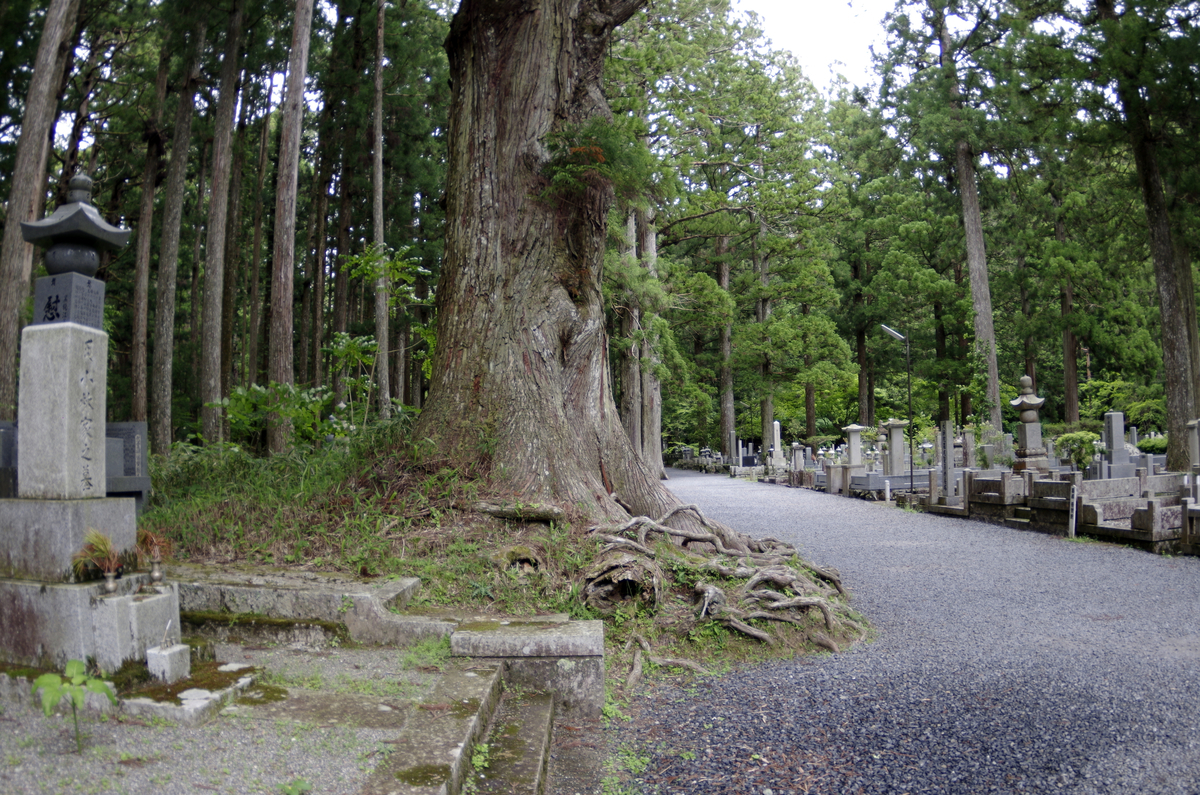 f:id:wakuraba01:20210129160140j:plain