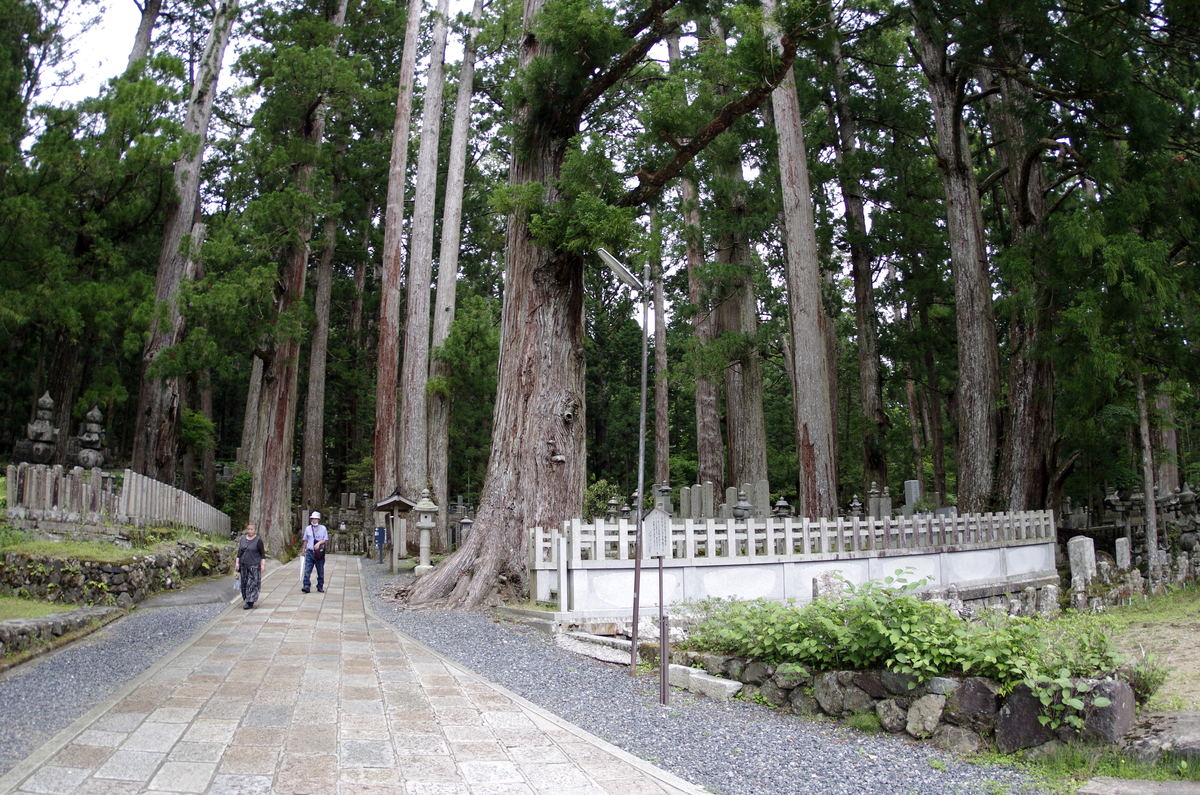f:id:wakuraba01:20210129160146j:plain