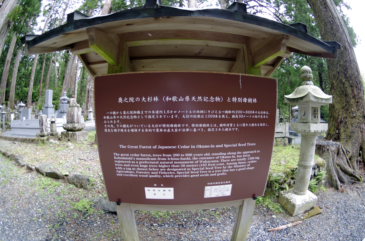 f:id:wakuraba01:20210129160148j:plain