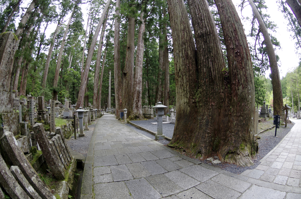 f:id:wakuraba01:20210129160154j:plain