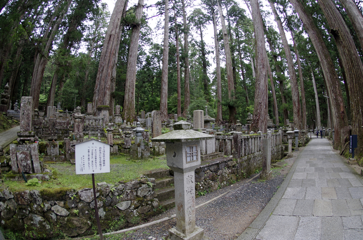 f:id:wakuraba01:20210129160205j:plain