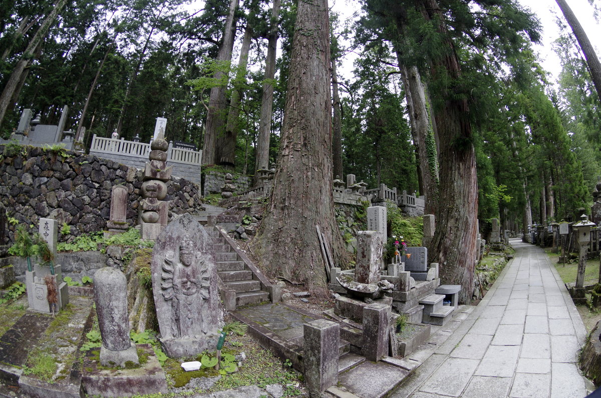 f:id:wakuraba01:20210129160300j:plain