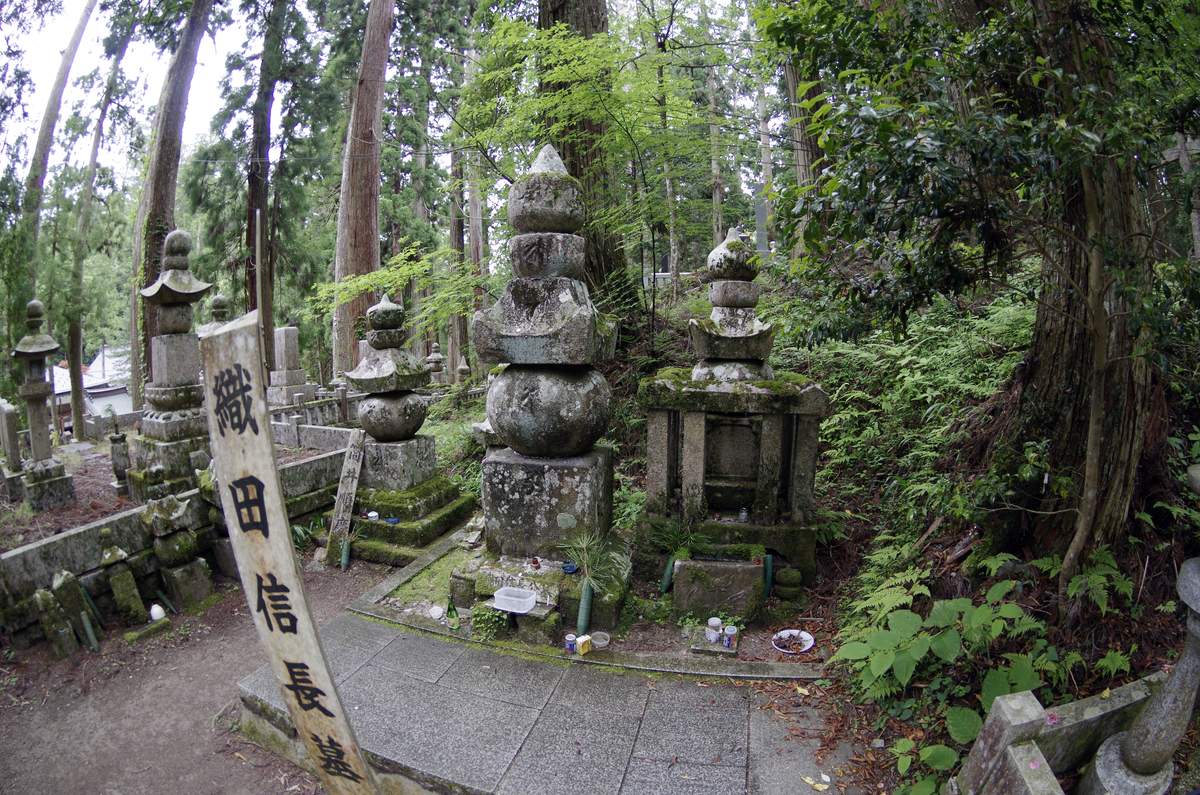 f:id:wakuraba01:20210129160306j:plain