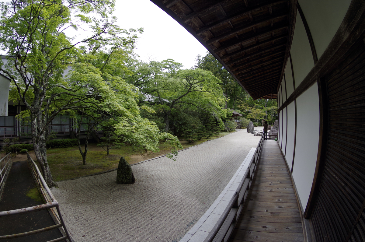 f:id:wakuraba01:20210129160906j:plain