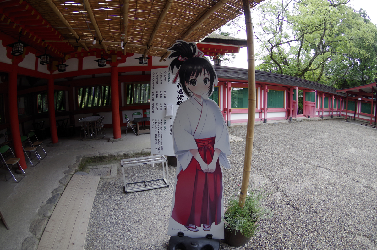 f:id:wakuraba01:20210129162248j:plain