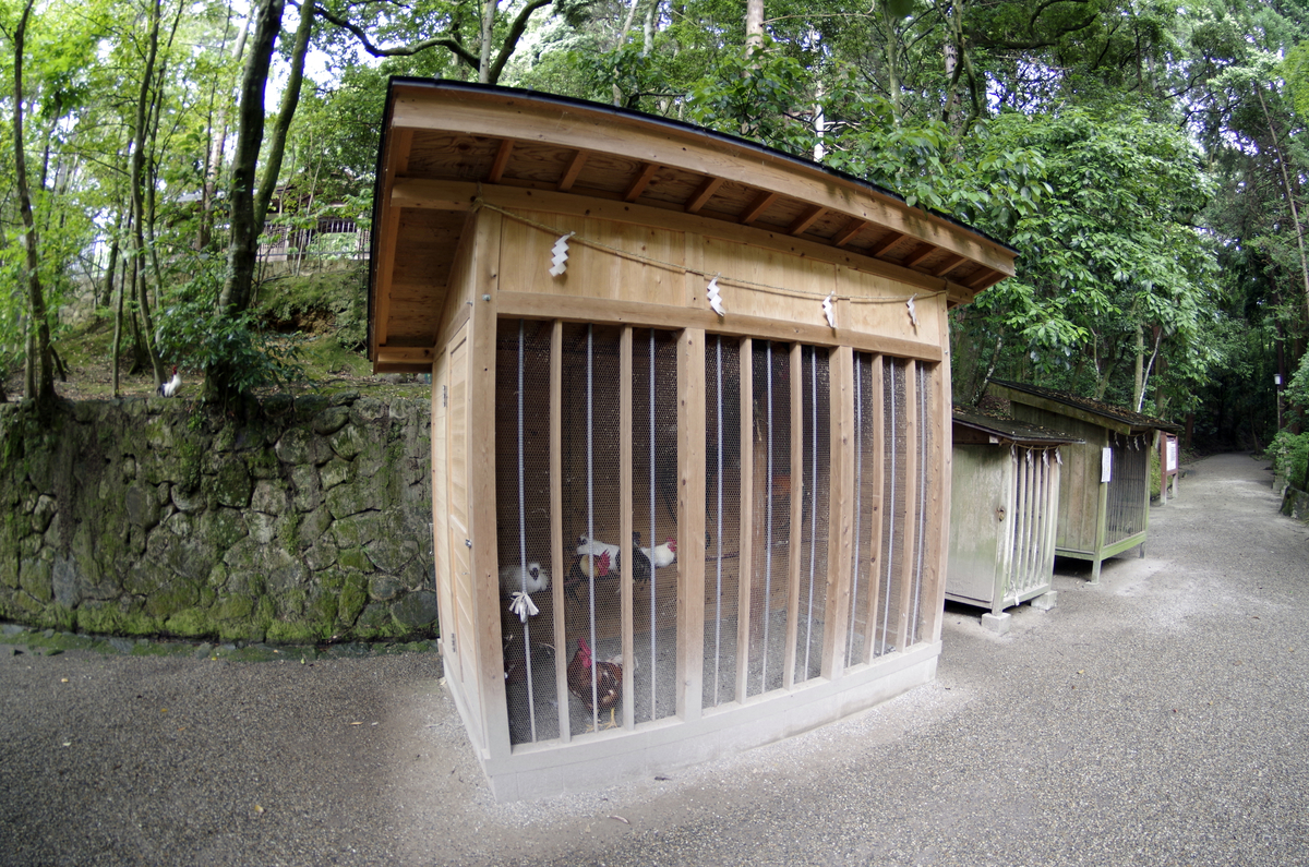 f:id:wakuraba01:20210129162313j:plain