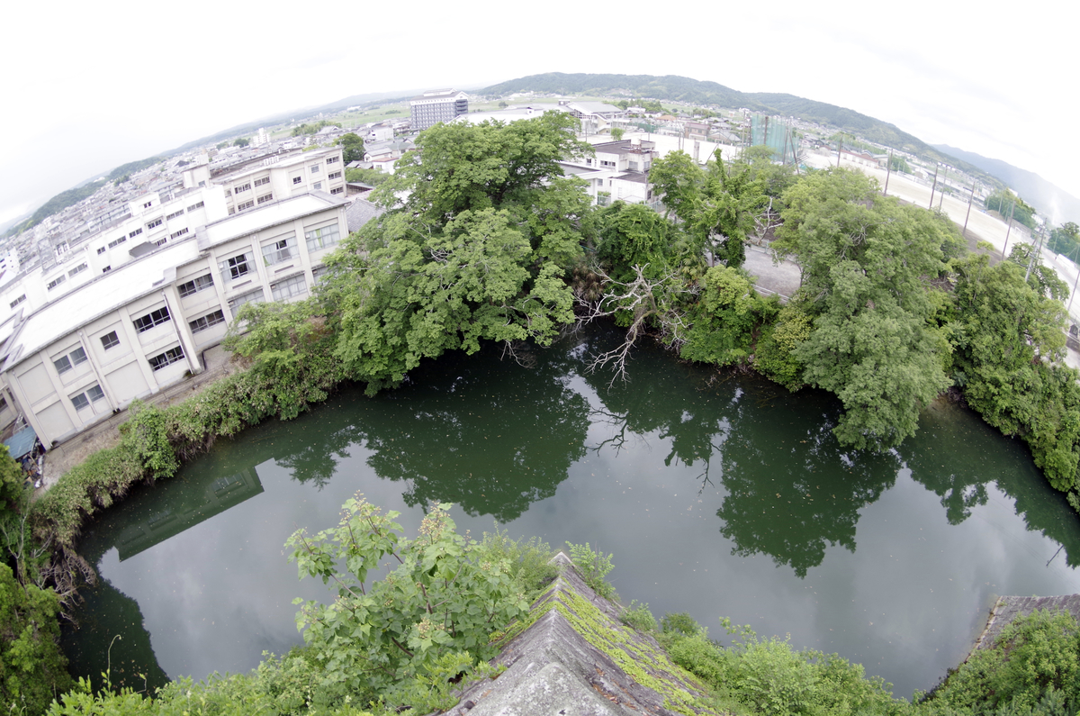 f:id:wakuraba01:20210130171259j:plain