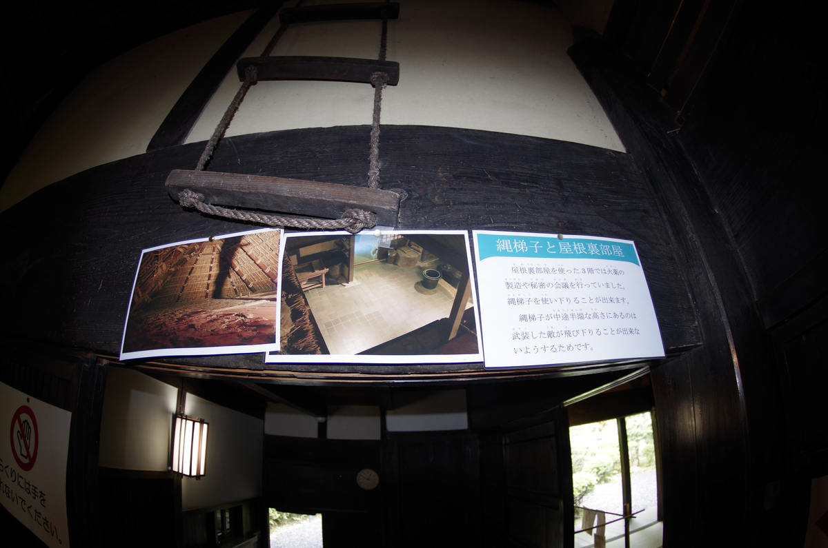 f:id:wakuraba01:20210130175022j:plain
