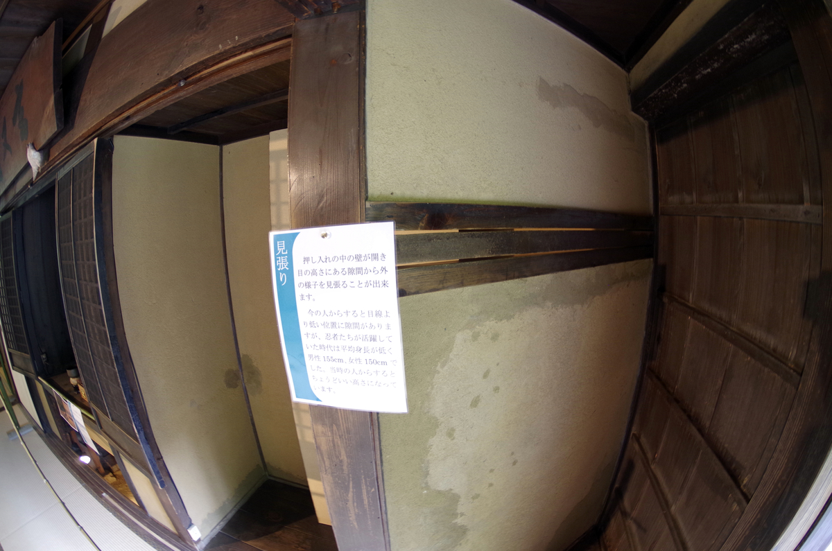 f:id:wakuraba01:20210130175252j:plain
