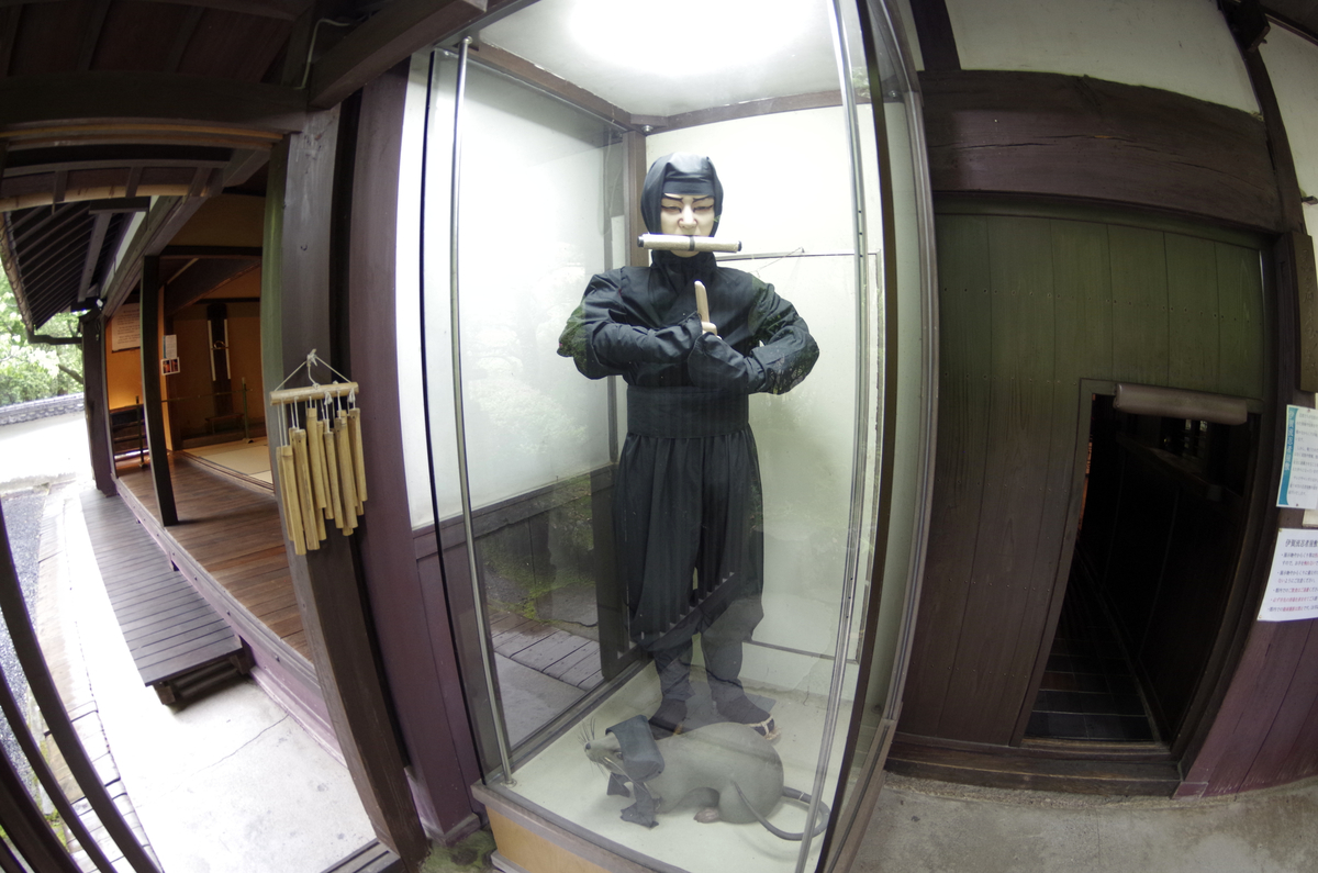 f:id:wakuraba01:20210130175419j:plain