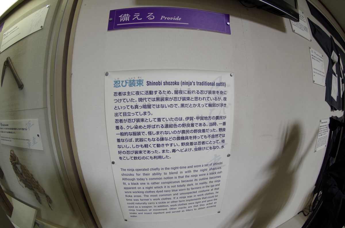 f:id:wakuraba01:20210130175536j:plain