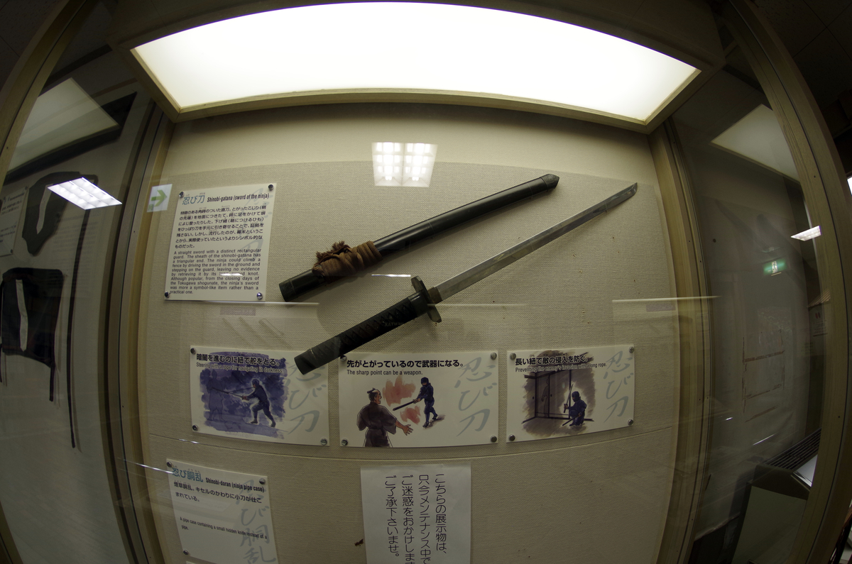 f:id:wakuraba01:20210130180311j:plain