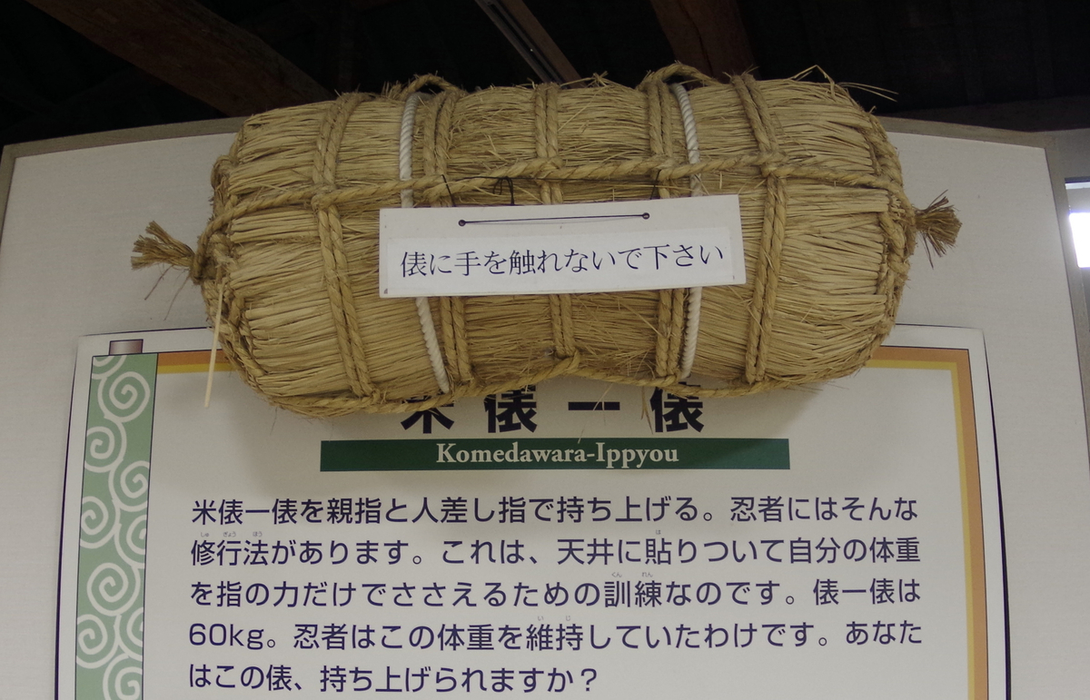 f:id:wakuraba01:20210130180619j:plain