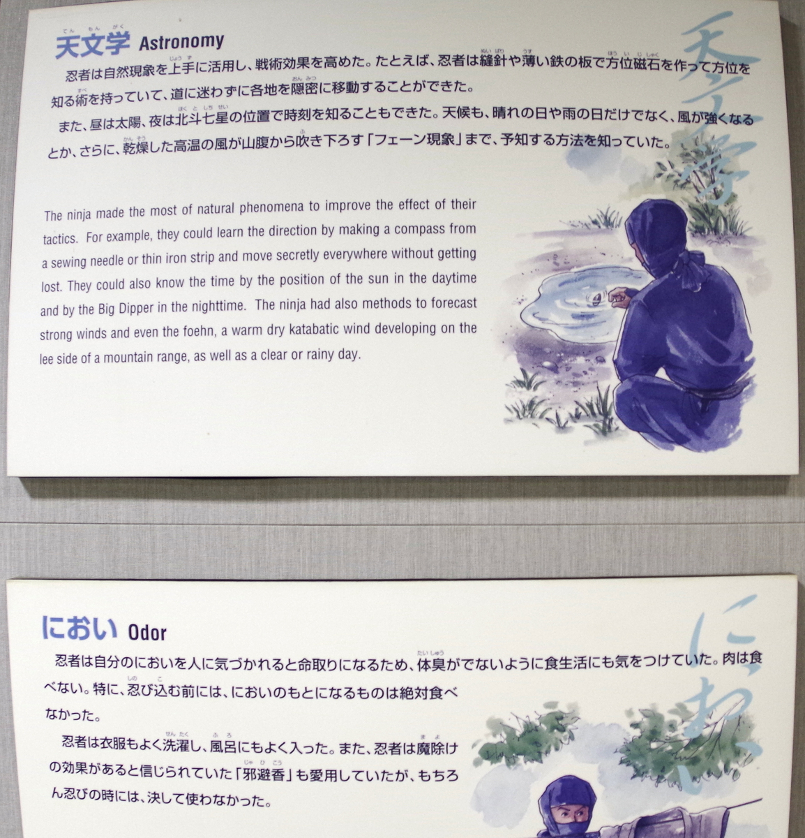 f:id:wakuraba01:20210130180637j:plain