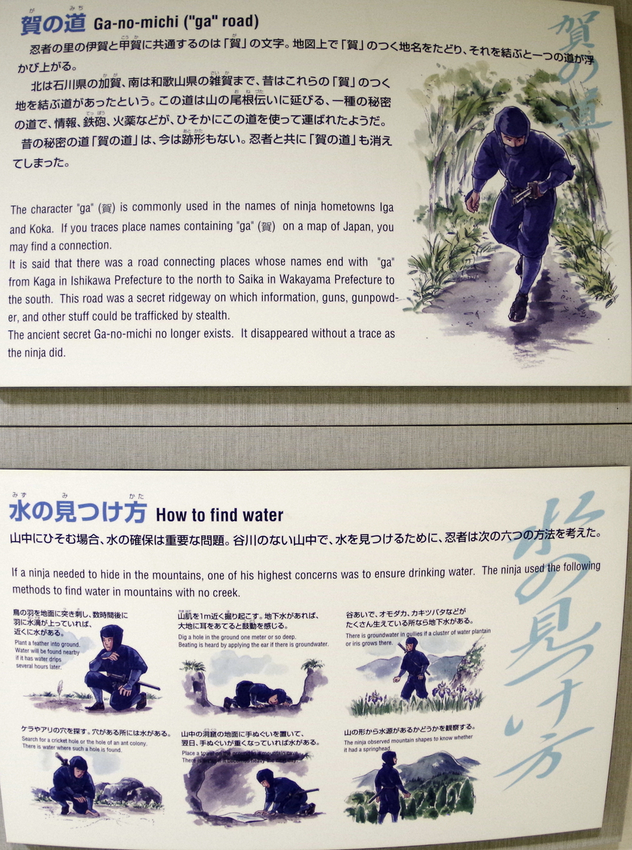 f:id:wakuraba01:20210130180643j:plain