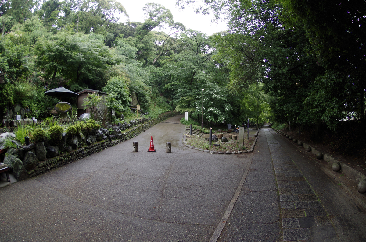 f:id:wakuraba01:20210130184446j:plain