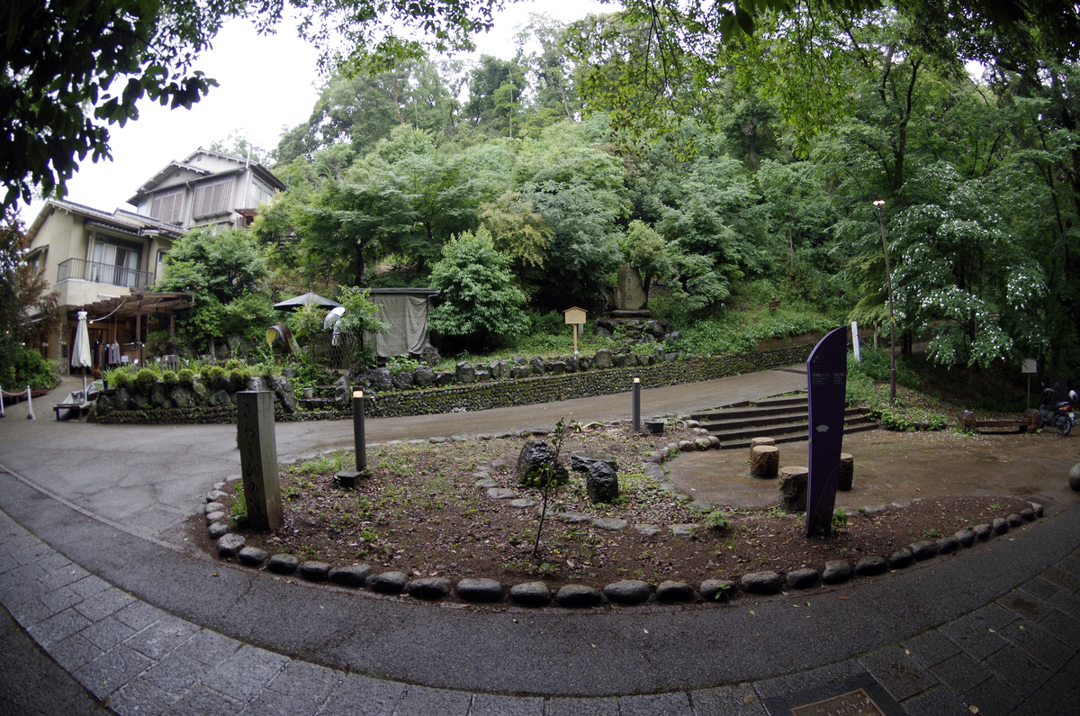 f:id:wakuraba01:20210130184613j:plain