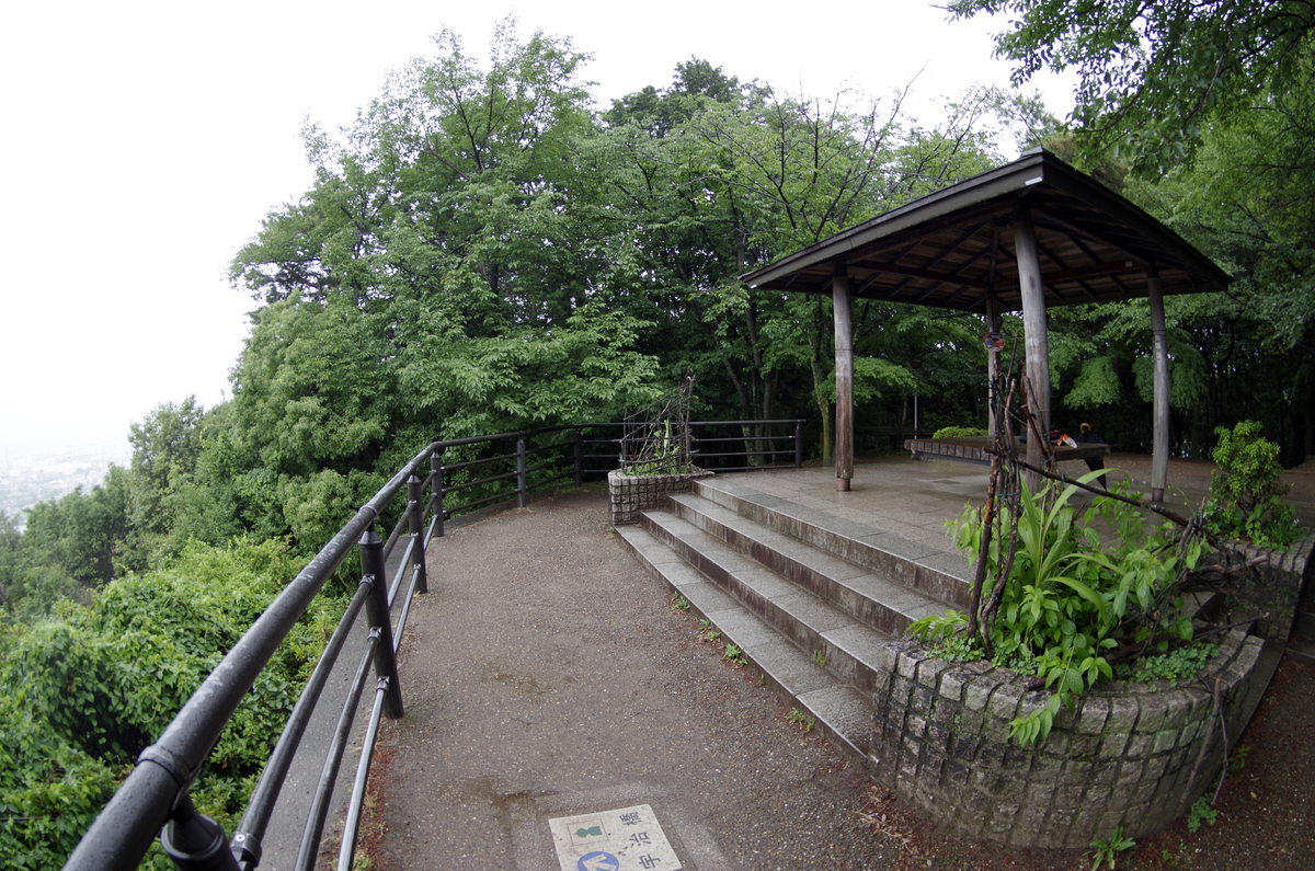 f:id:wakuraba01:20210130184927j:plain