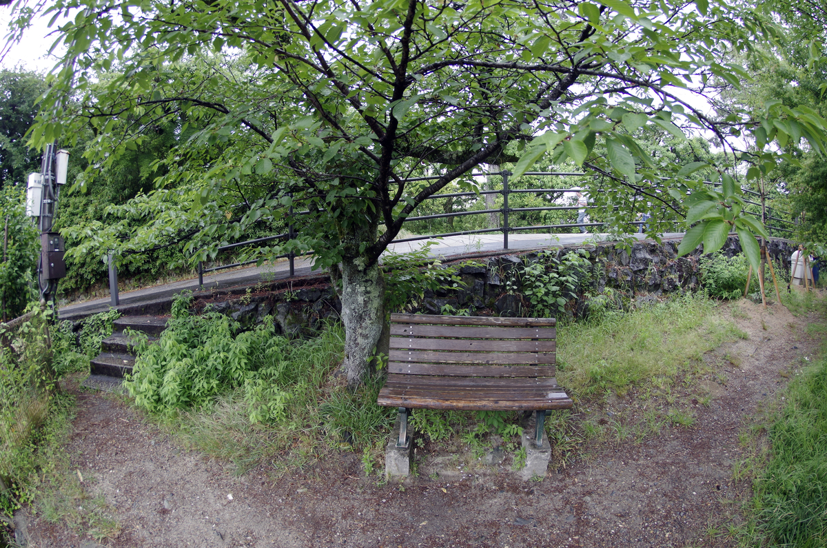 f:id:wakuraba01:20210130185655j:plain