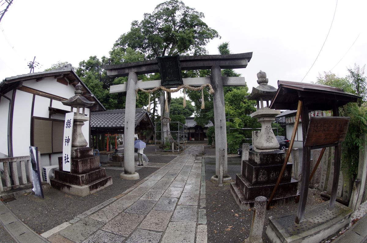 f:id:wakuraba01:20210130190543j:plain