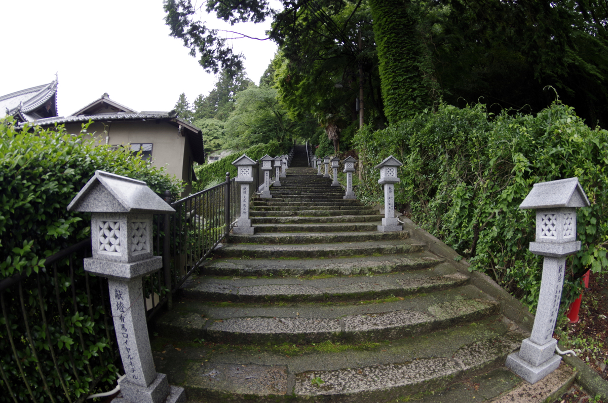 f:id:wakuraba01:20210202170753j:plain