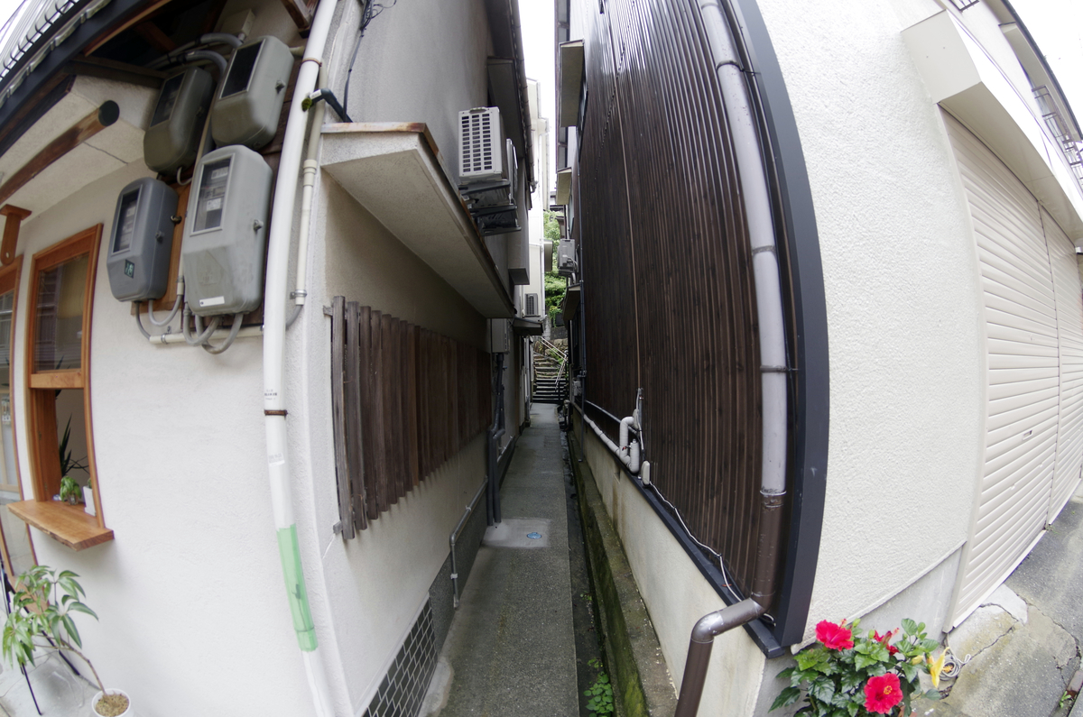 f:id:wakuraba01:20210202171933j:plain