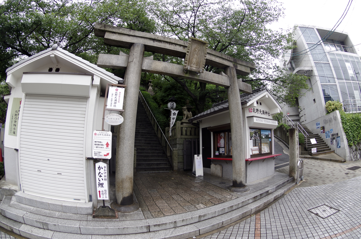 f:id:wakuraba01:20210202175148j:plain